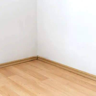 Schimmelbeseitigung